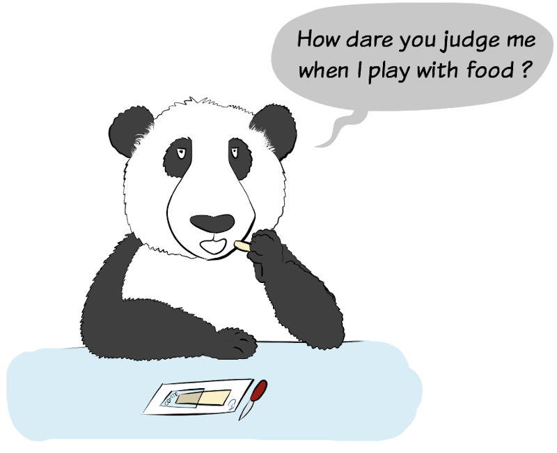 Moustache the panda, grumpy,says : "How dare you judge me when I play with food ?" (in a previous episode of the HotPandas, Petit Lutin was mad at him because he played with pumpkin)